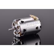 Moteur Brushless RP540 13.5T Sensored RUDDOG