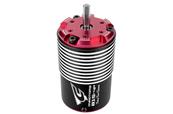 Moteur brushless Dynotorq 815 à capteur CORALLY